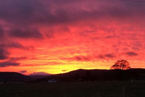 Camus Mhor