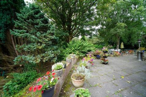 Patio To The Main...