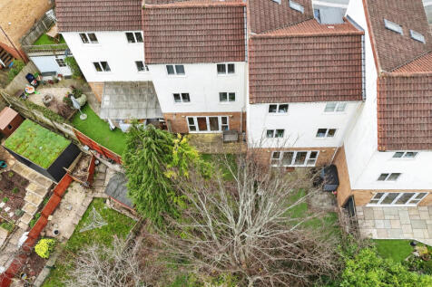 View of the plot