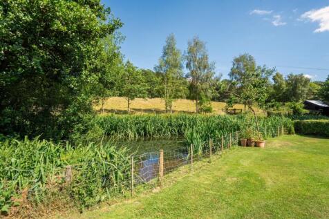 Pond view