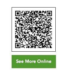 Online Report