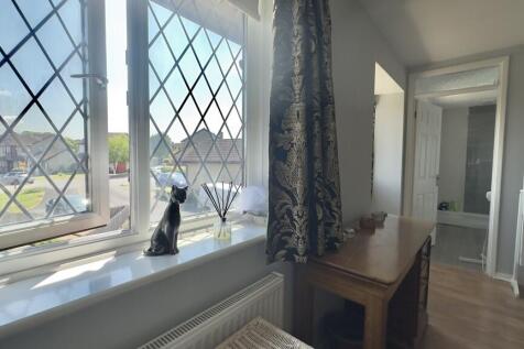 FullSizeRender (2...