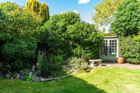 Garden With Pond