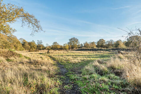 1383195-7-69272af...