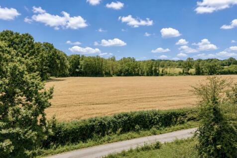 Hitherbury New image 3.jpg