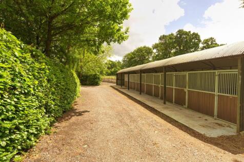 Job_7423_prv_Optimizer - By sep neg.jpg