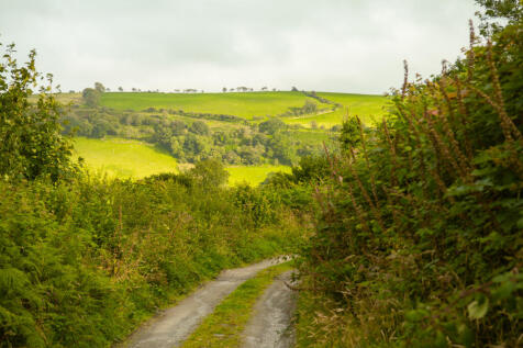 177086 - inigo.pant-y-ffynnonfarm.highres-56.jpg