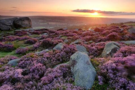 Ilkley Moor