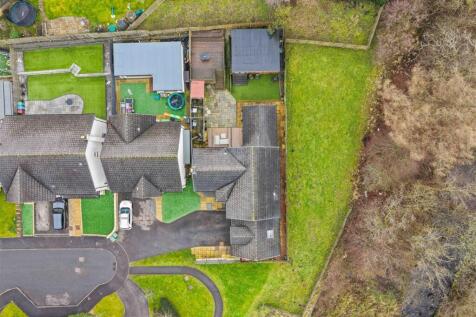 DJI_20260203112915_0355_D.jpg