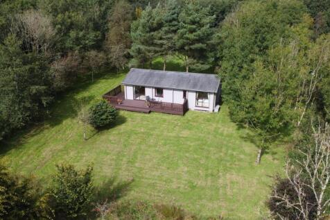 DJI_0181.JPG