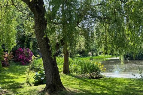 Mature Garden