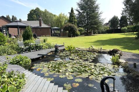 pond and garden.JPG