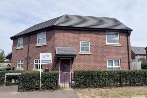 IMG_6503