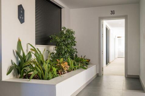 Property Image 80