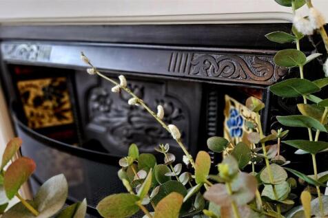 20250214_110514 (Large).jpg