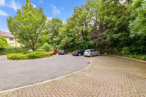 Driveway/Parking