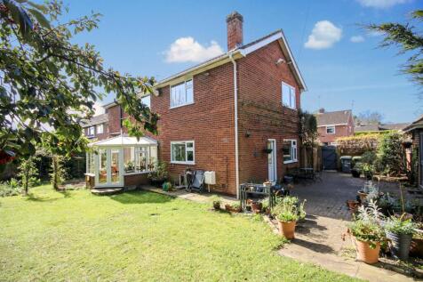 4-IMG_0070.jpg