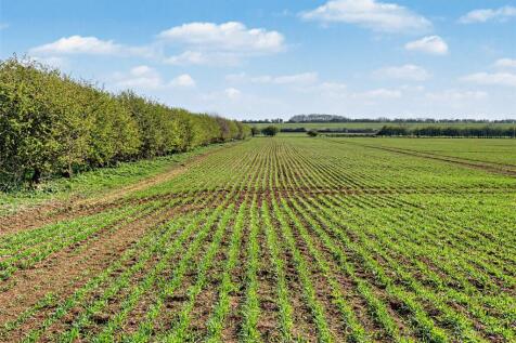Farmland