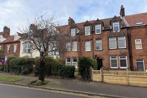 20 Medium T202602041110.jpg