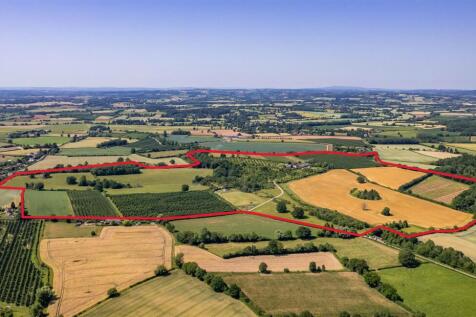 DJI_0410 outline.jpg