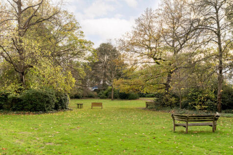 Communal Garden