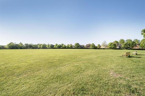 Surrounding Area.jpg