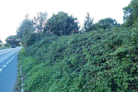 3 T202211091016.jpg