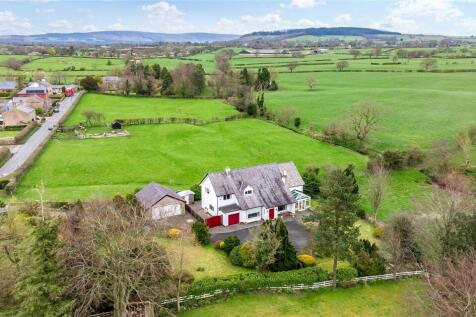 Aerial Shot
