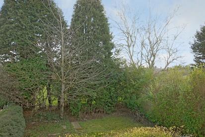 External Grounds