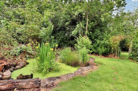 External Front Garden