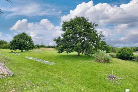 thumbnail_IMG_5650 (1).jpg