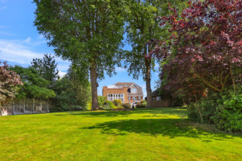 Property Image 50