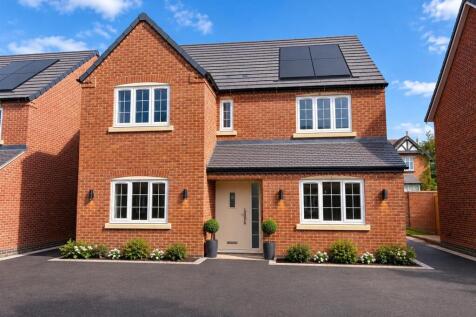 AI Front Image.jpg