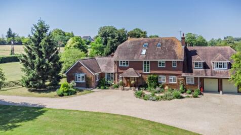 Meadow View