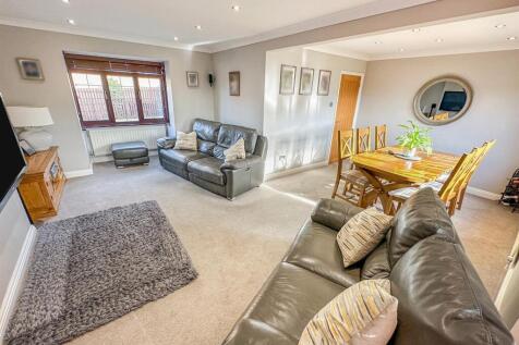 IMG_6561.jpg