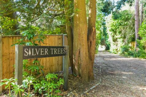 SILVER TREE EXTERNALS- (3).jpg