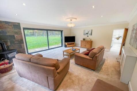 tlc_e5005410-e423-42d4-9fe0-7b03887201c1_af8c615.j