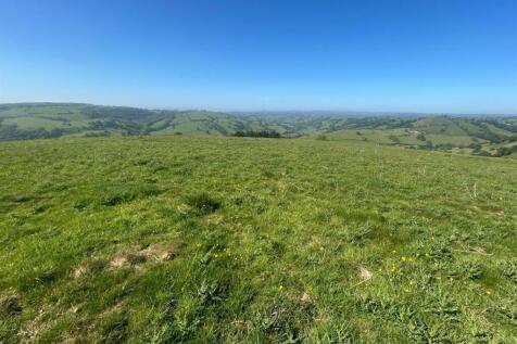 WhatsApp Image 2025-06-12 at 11.30.44 (2).jpeg