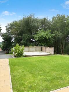 Front Lawn/Patio Area