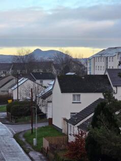 View From Kitchen