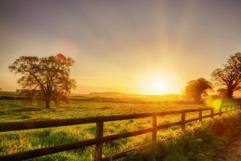 Norfolk Countryside