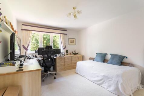 Silver Birches-15.jpg