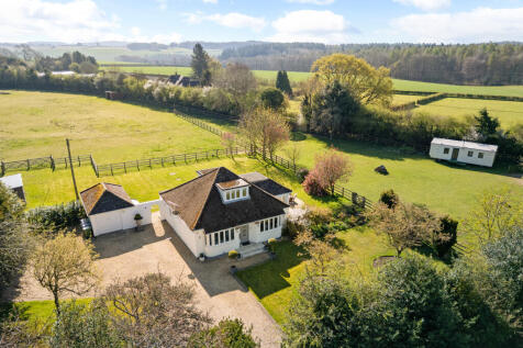 Front and Side Paddock