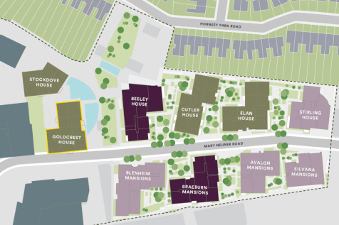 Plot image