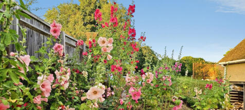 Property Image 34