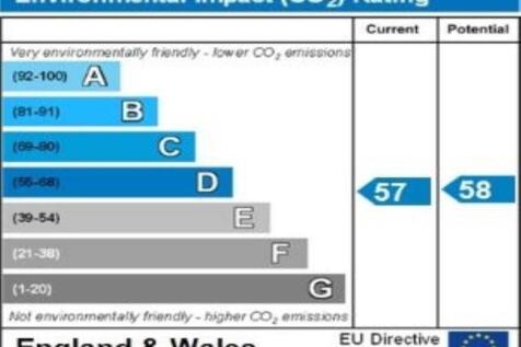 ENVIRONMENTAL IMPACT