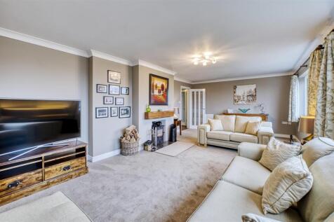 Holly RdD78_7880_HDR.jpg