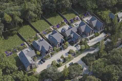 birdseye view.jpg