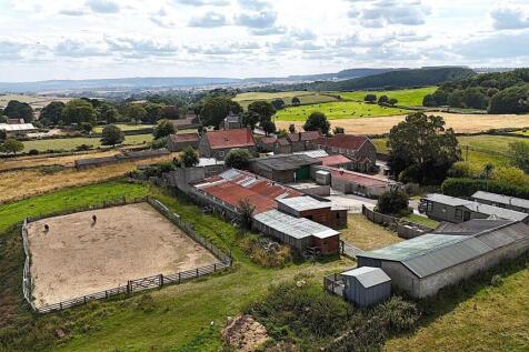 view back to house.jpg