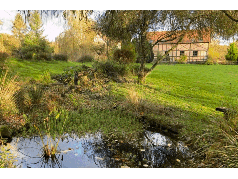 Property Image 37